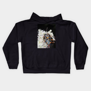 Murgantia histrionica (Harlequin Bug) in Southern California, USA Kids Hoodie